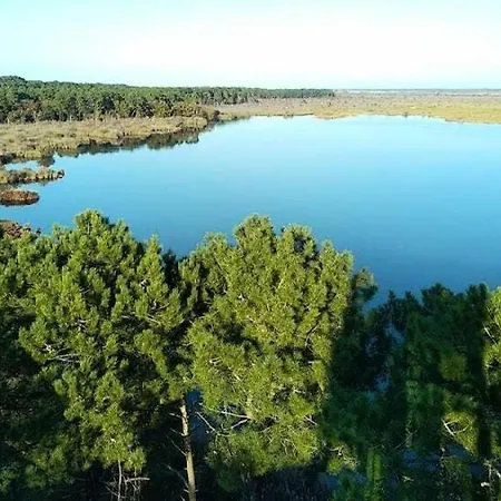 03263-lacanau - Agreable Spacieuse Pour 6 Personnes Proche Du De Mae-0591